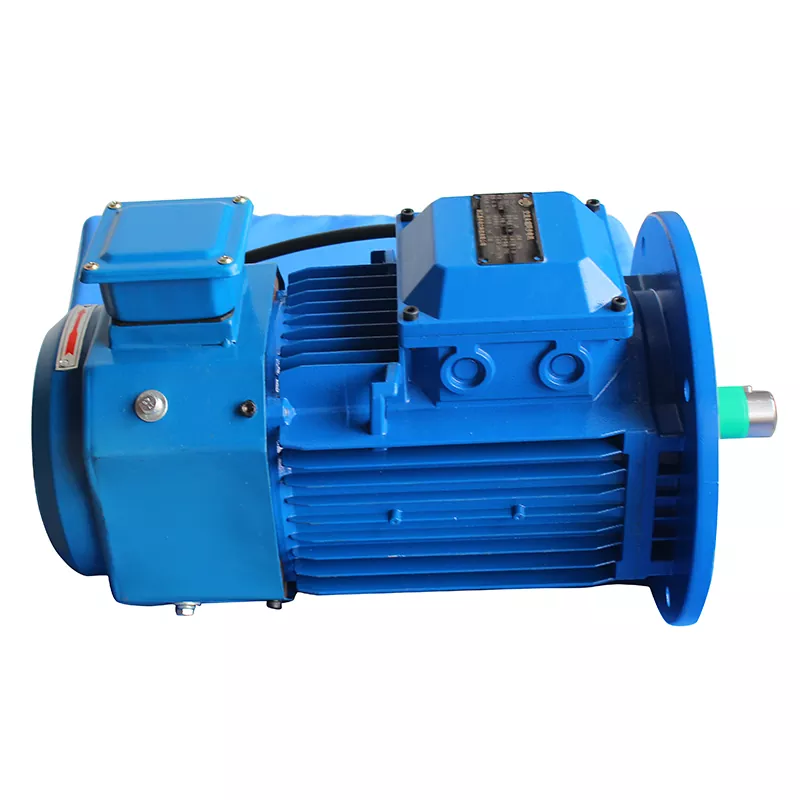 IP65 Permanent Magnet Synchronous Motor